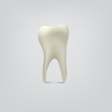 Vector tooth isolated on gray background.