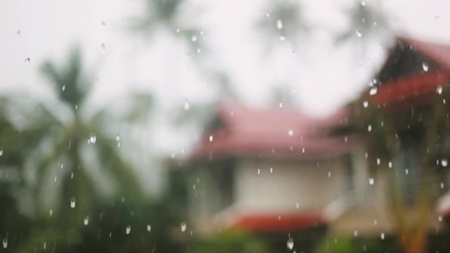Tropical rain drops falling on the palm leaves in island Koh Samui, Thailand. 1920x1080