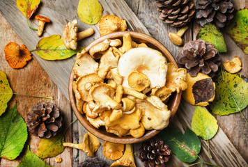 Forest mushrooms chanterelle in a bowl, rustic style, vintage wooden background, top view