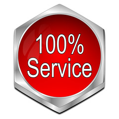 100% Service button - 3D illustration