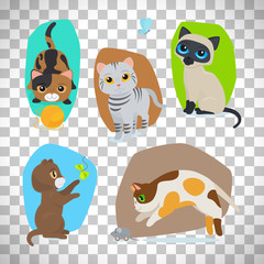 Cute cats set on transparent background