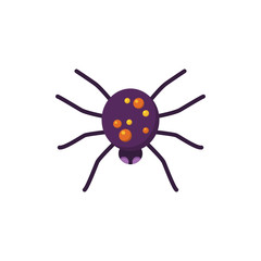 Color spider vector icon.