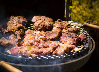 Assorted delicious grilled meat over the coals on a barbecue. Beef, lamb and chicken steaks on the grill with flames. Meat char-grilled over flame.