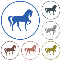 Obraz premium Horse silhouette icon