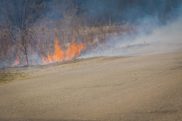 Burned Dry Grass