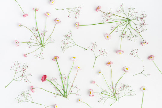 Pattern made of pink gypsophila flowers and daisy flowers on white background. Flat lay, top view
