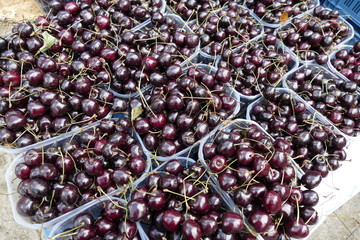 red cheries sold at the market