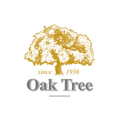 Oak Tree Logo