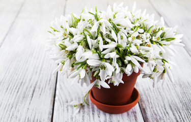bouquet of snowdrops