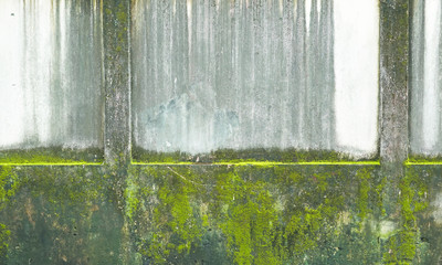 Old concrete wall with stains and moss with fungus for abstract backgrounds.