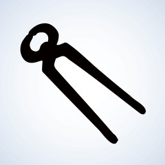 Starfish. Vector drawing