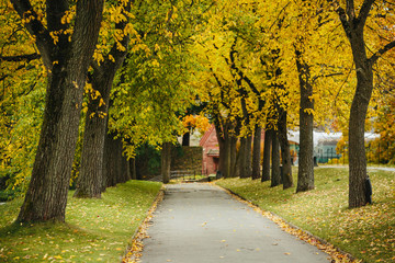 Naklejka premium Autumn park in Europe