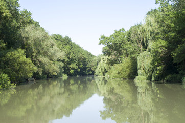 The Kamchia River in summer sunny day, Bulgaria