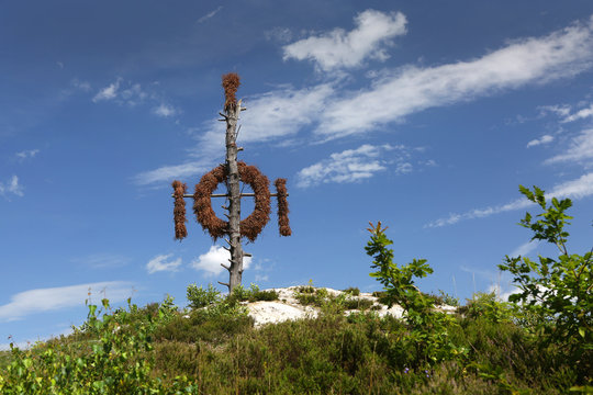 Questenbaum in Questenberg