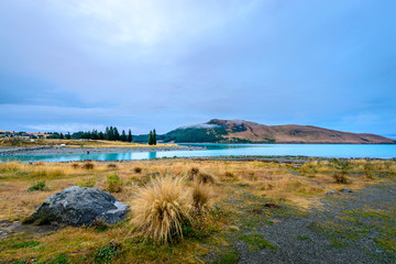 Blue hour landscape in lake Tekapo, South Island, New Zealand