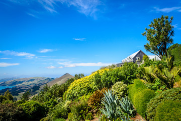 The Gardens of Larnach Castle, Dunedin, New Zealand