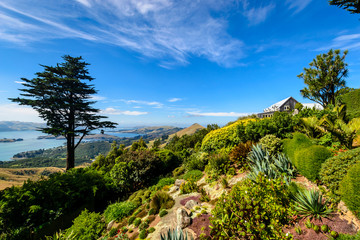 Fototapeta na wymiar The Gardens of Larnach Castle, Dunedin, New Zealand
