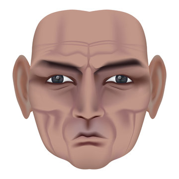The face of old man with deep wrinkles. Frown expression. Wise old man. Made by gradient mesh