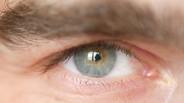 A male eye is looking at the camera. The eye blinks naturally. Close-up.