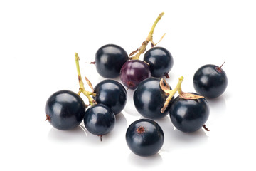 Blackcurrant