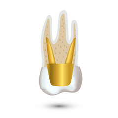 Realistic teeth anatomy illustration isolated on white background.