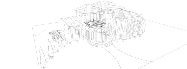 3D House Wireframe
