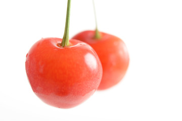 新鮮なチェリー