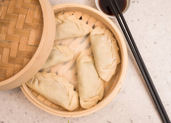 Preparing Homemade Chinese Dumpling at Home