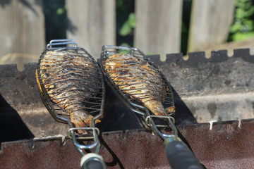 Fish grill
