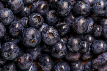 Freshly picked blueberries