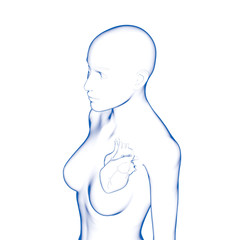 Human Heart, Woman