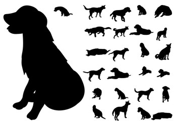 Silhouette of a dog
