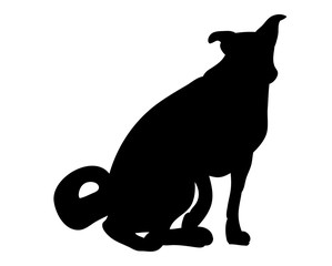 Silhouette of a dog