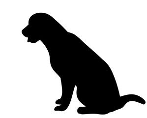 Silhouette of a dog