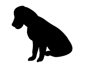 Silhouette of a dog
