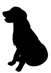Silhouette of a dog