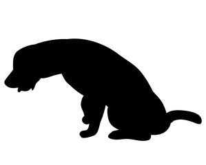 Silhouette of a dog