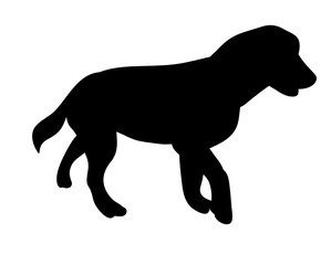 Silhouette of a dog
