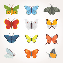 Printset of colorful Butterfly Vector Design Illustration. summer insect
