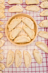 Tasty Dumplings ready for being steamed.