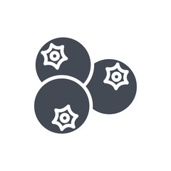 Fruits food blueberry silhouette icon