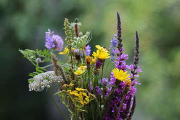 Grußkarte Wildblumenstrauß