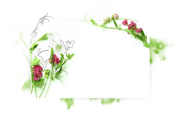 Template for invitation design with fresh flower sweet pea and ink contour