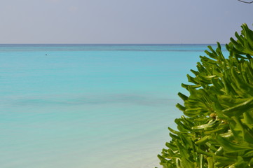Maldives - 166191448