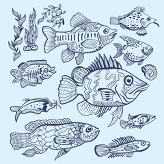 Vector Fish Sketch Set