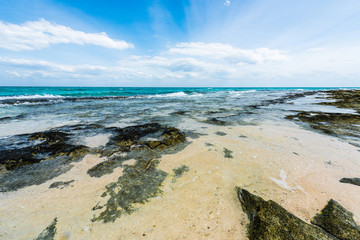 stony seashore and clear turquoise ocean water with blue sky on the background