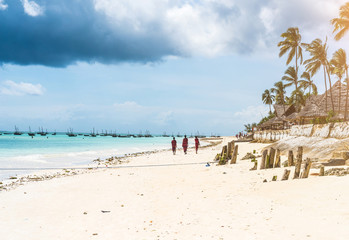 picturesque landscape with ocean beach and african village and palms