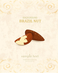 vintage banner with brazil nuts for your design