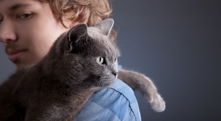 British cat on the shoulder of the boy studio shot.