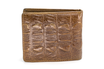 Image of brown wallet made of crocodile leather isolated on white background.